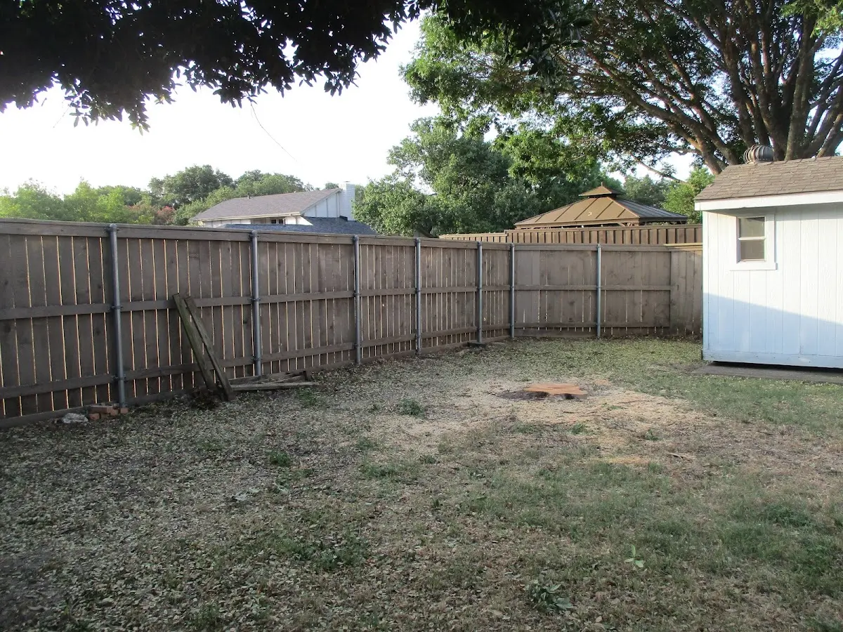 Cleared yard after professional tree removal in Blount